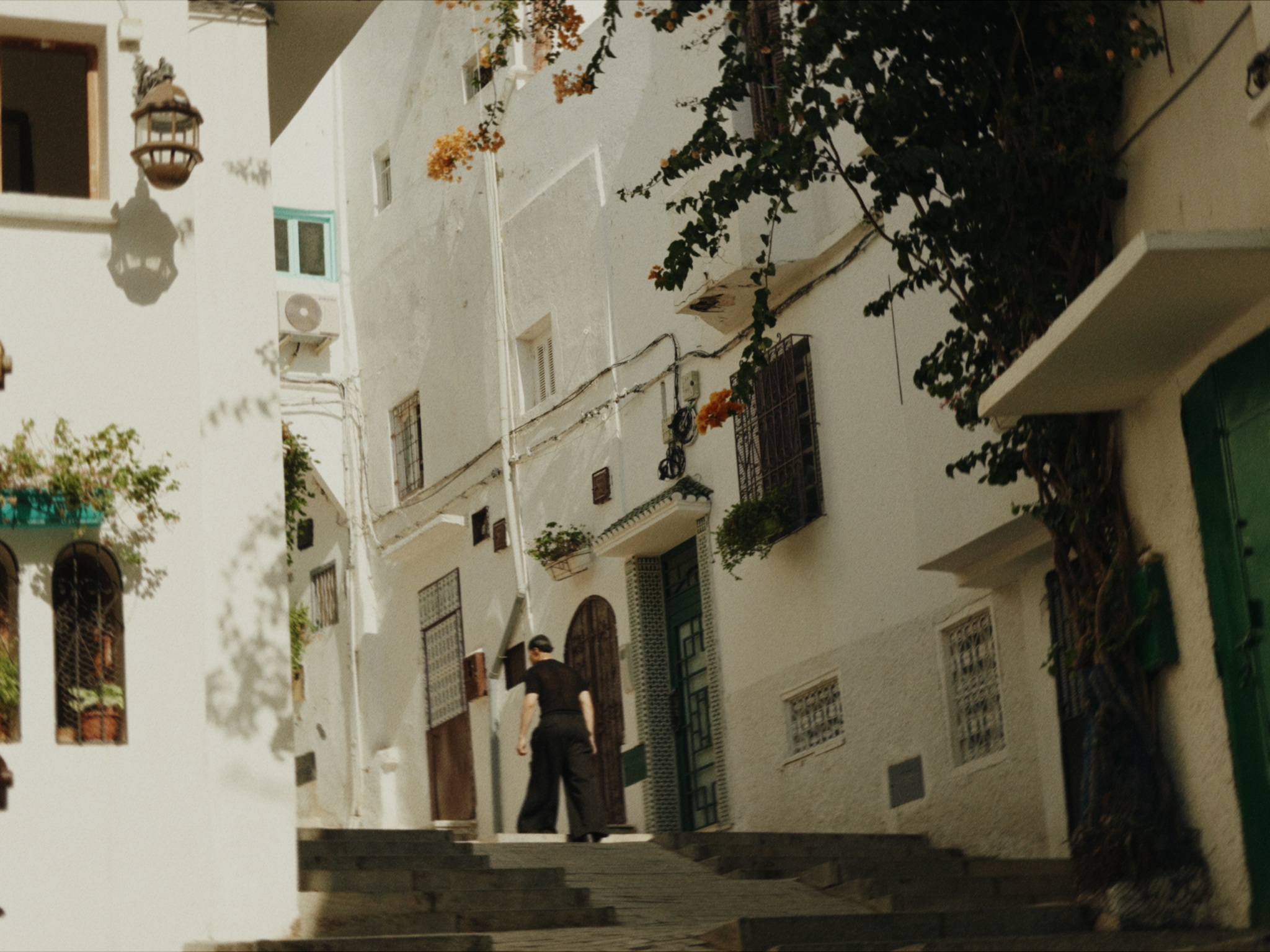 Still 2026-03-15 013343_7.4.2.png