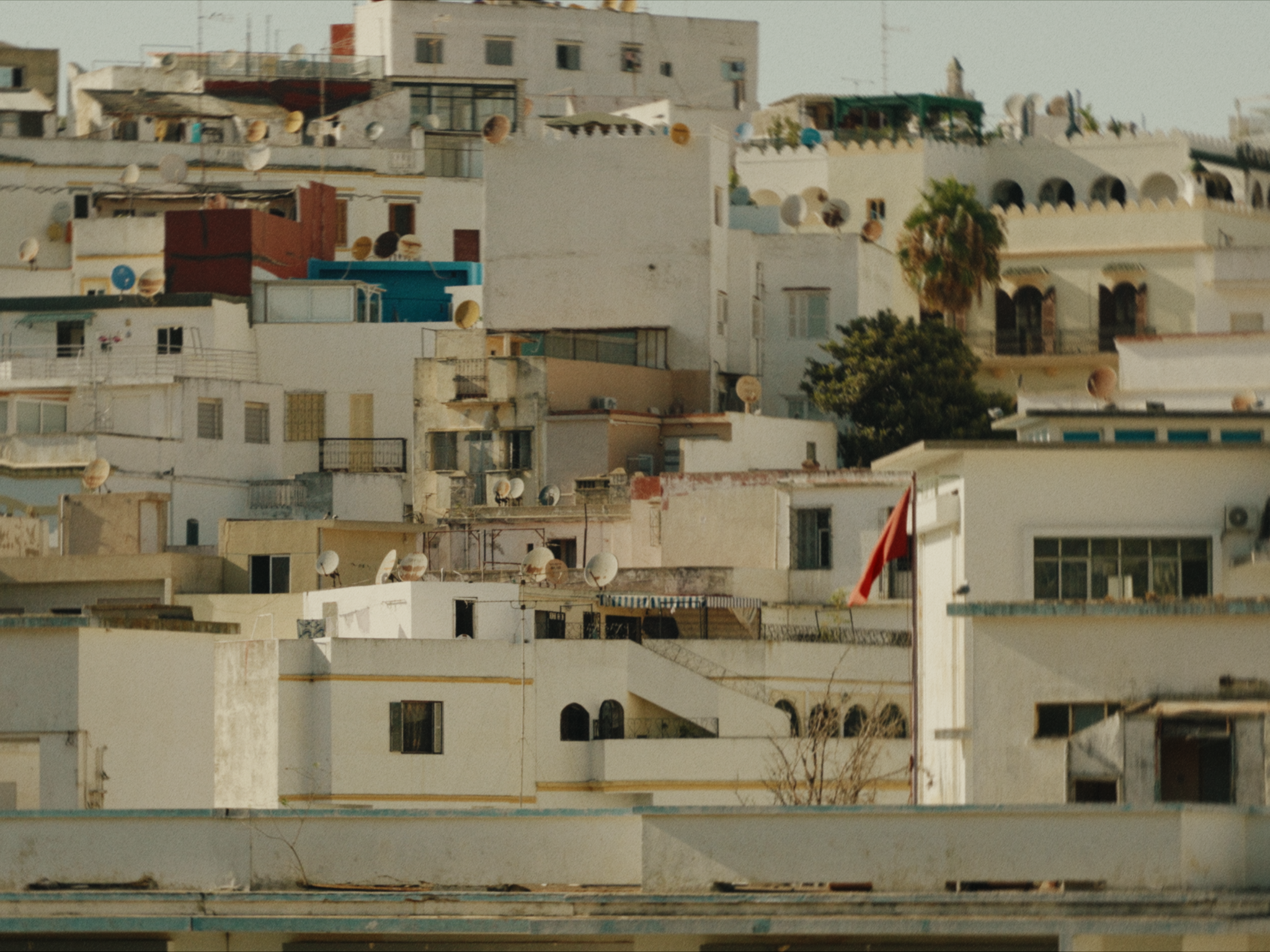 Still 2026-03-15 013343_3.1.10.png