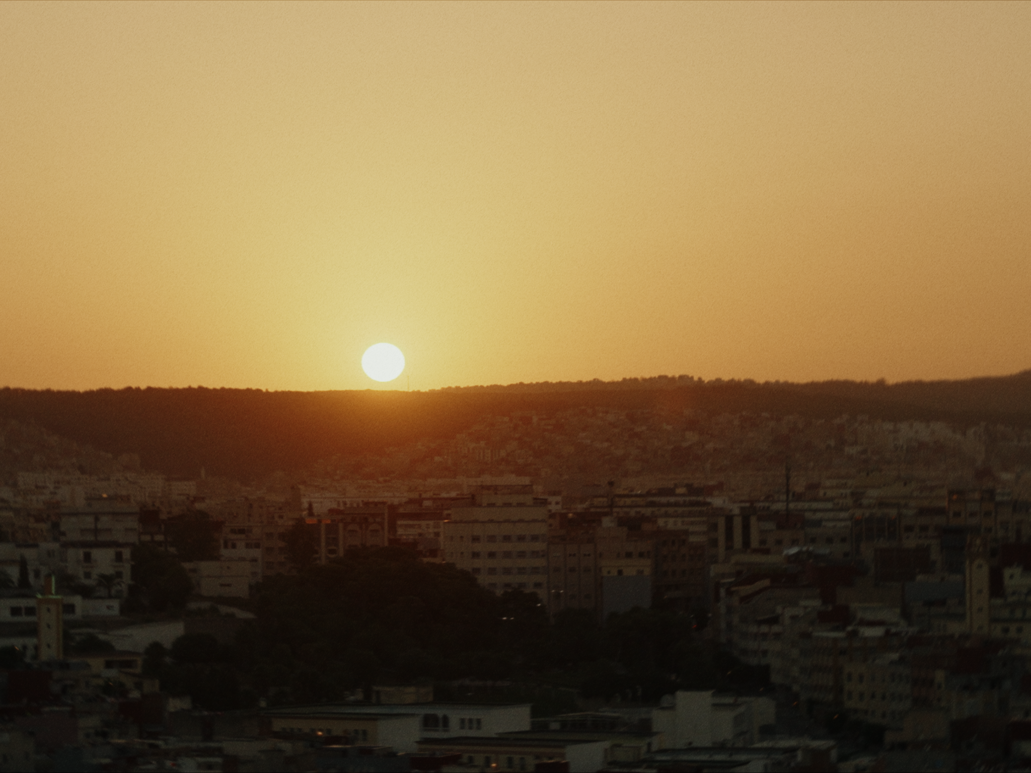 Still 2026-03-15 013343_7.3.1.png