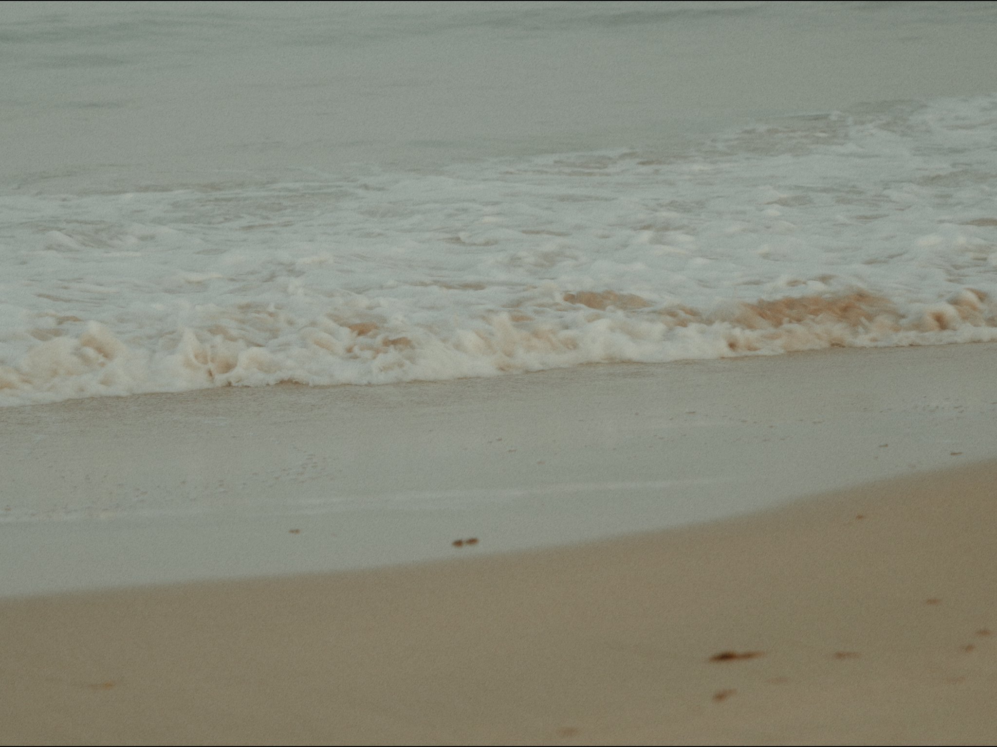 Still 2026-03-15 013343_5.1.16.png