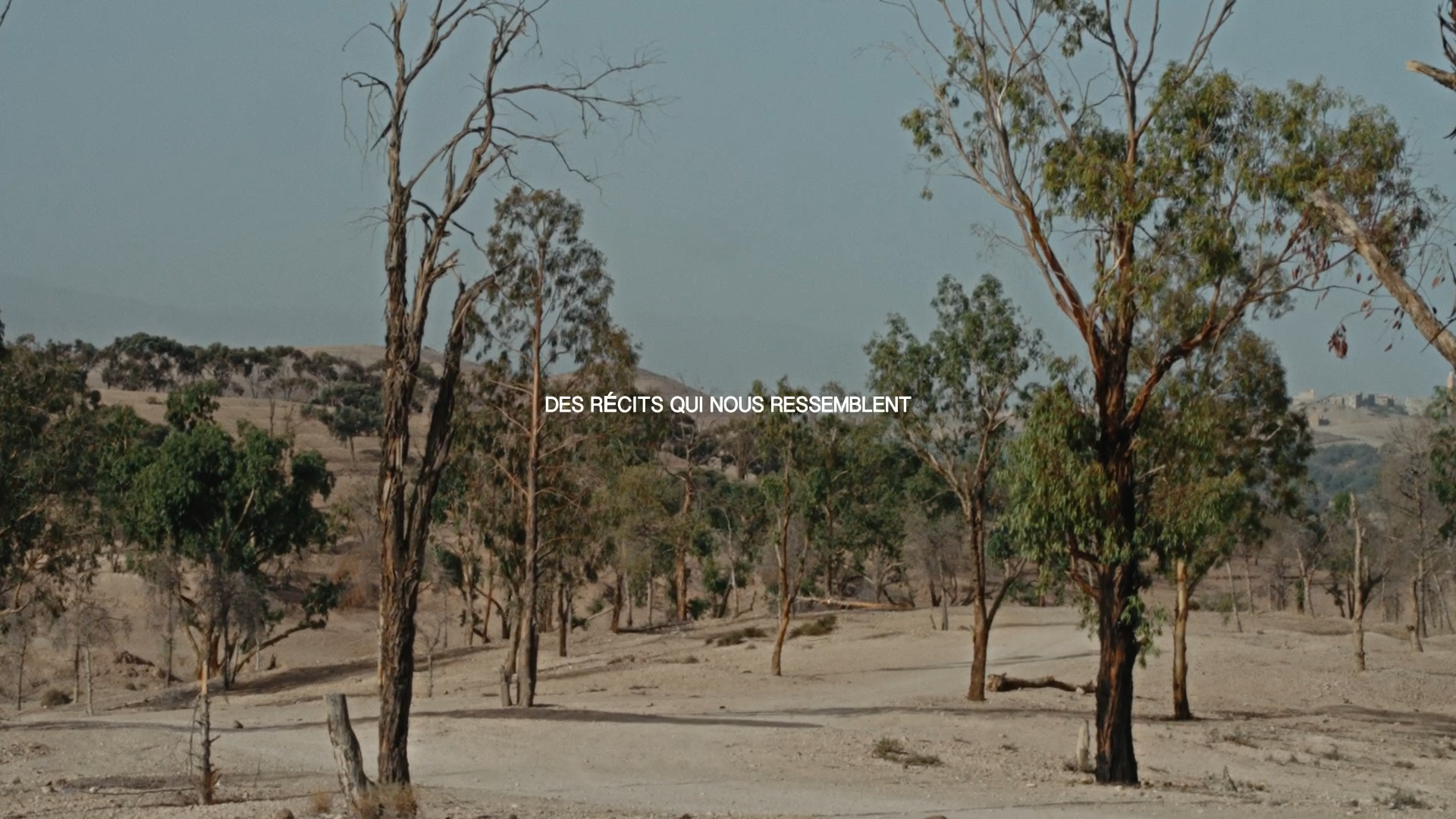 Still 2026-03-14 000348_1.1.7.png