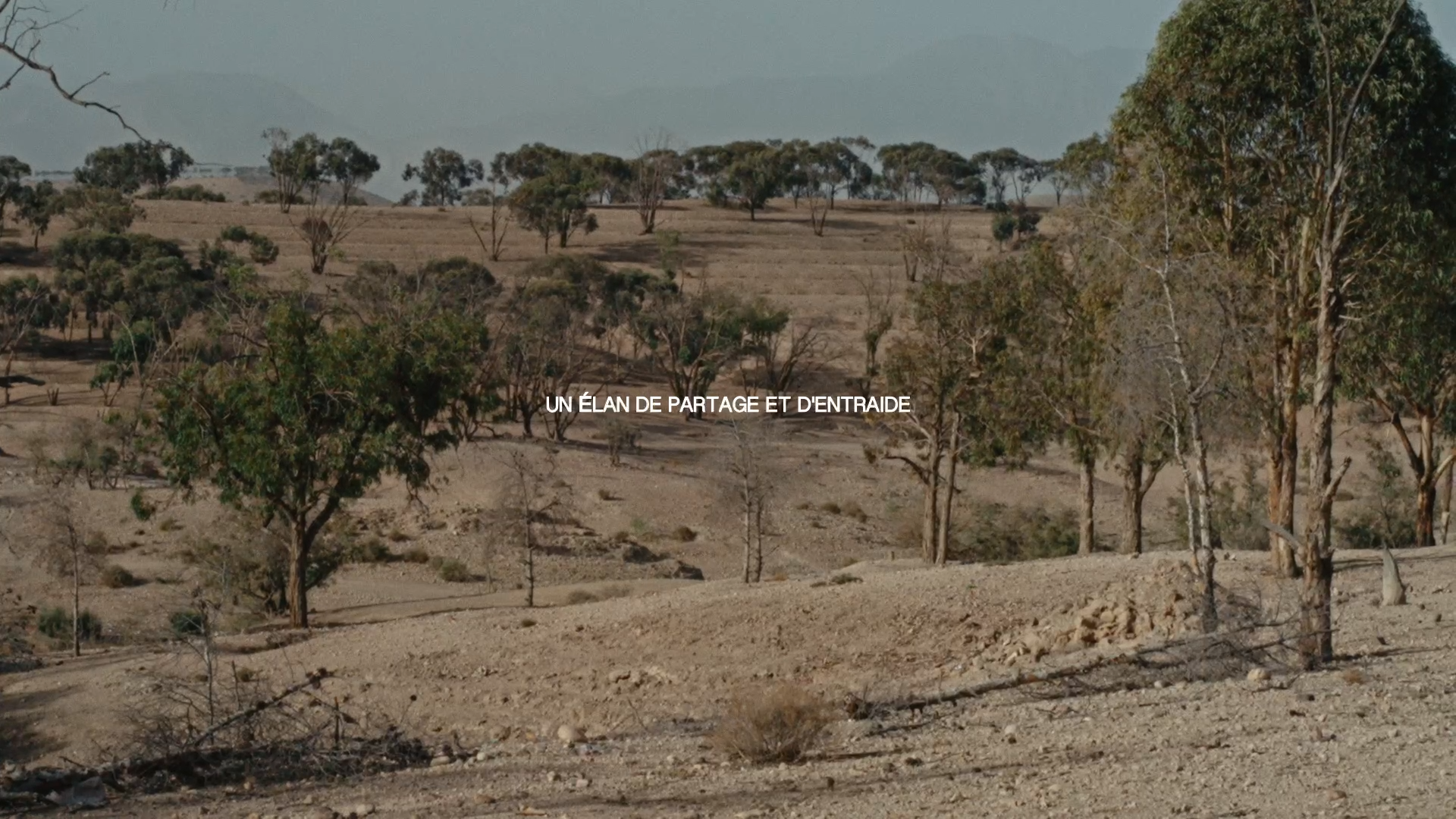 Still 2026-03-14 000348_1.1.5.png