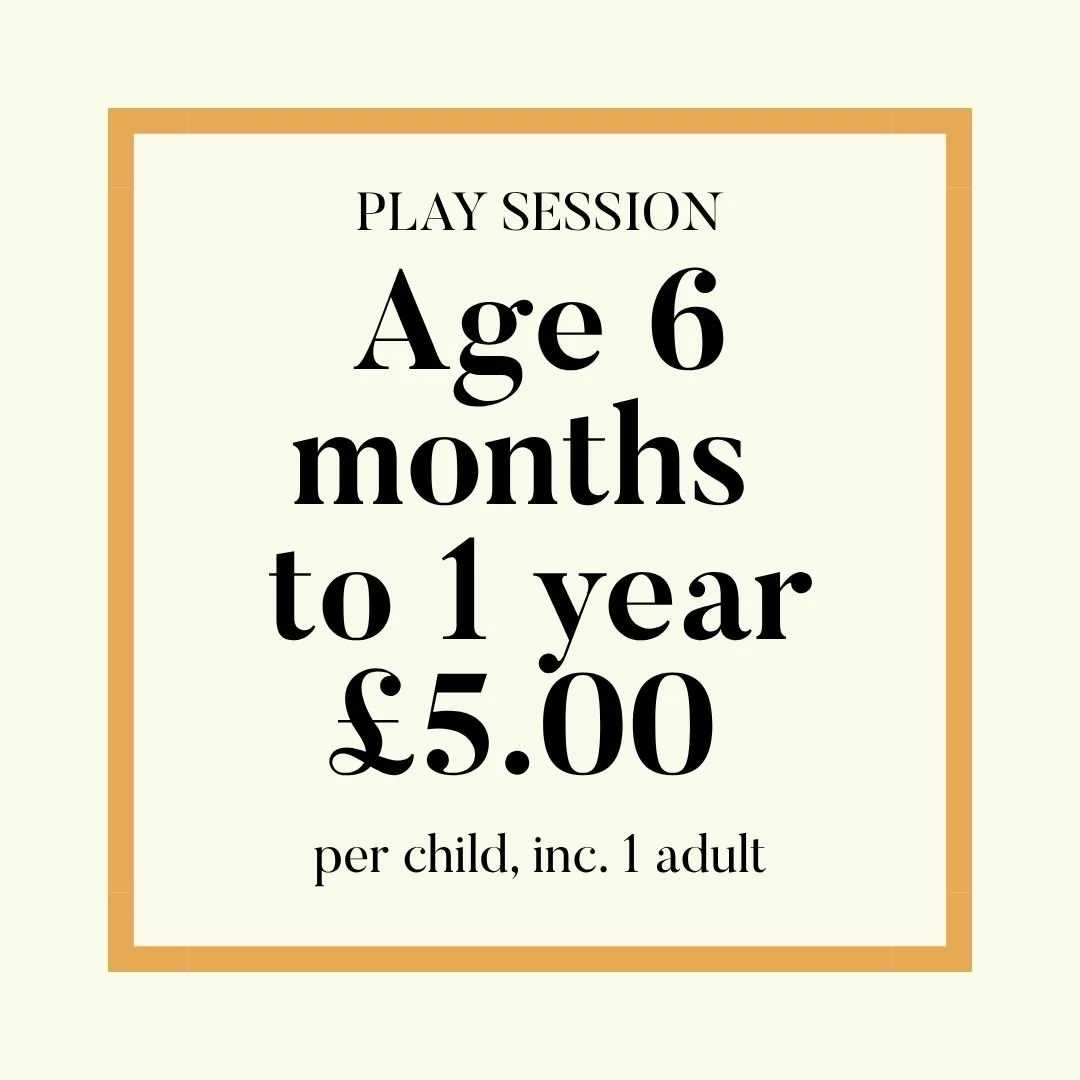 6 months – 1 year Play Session