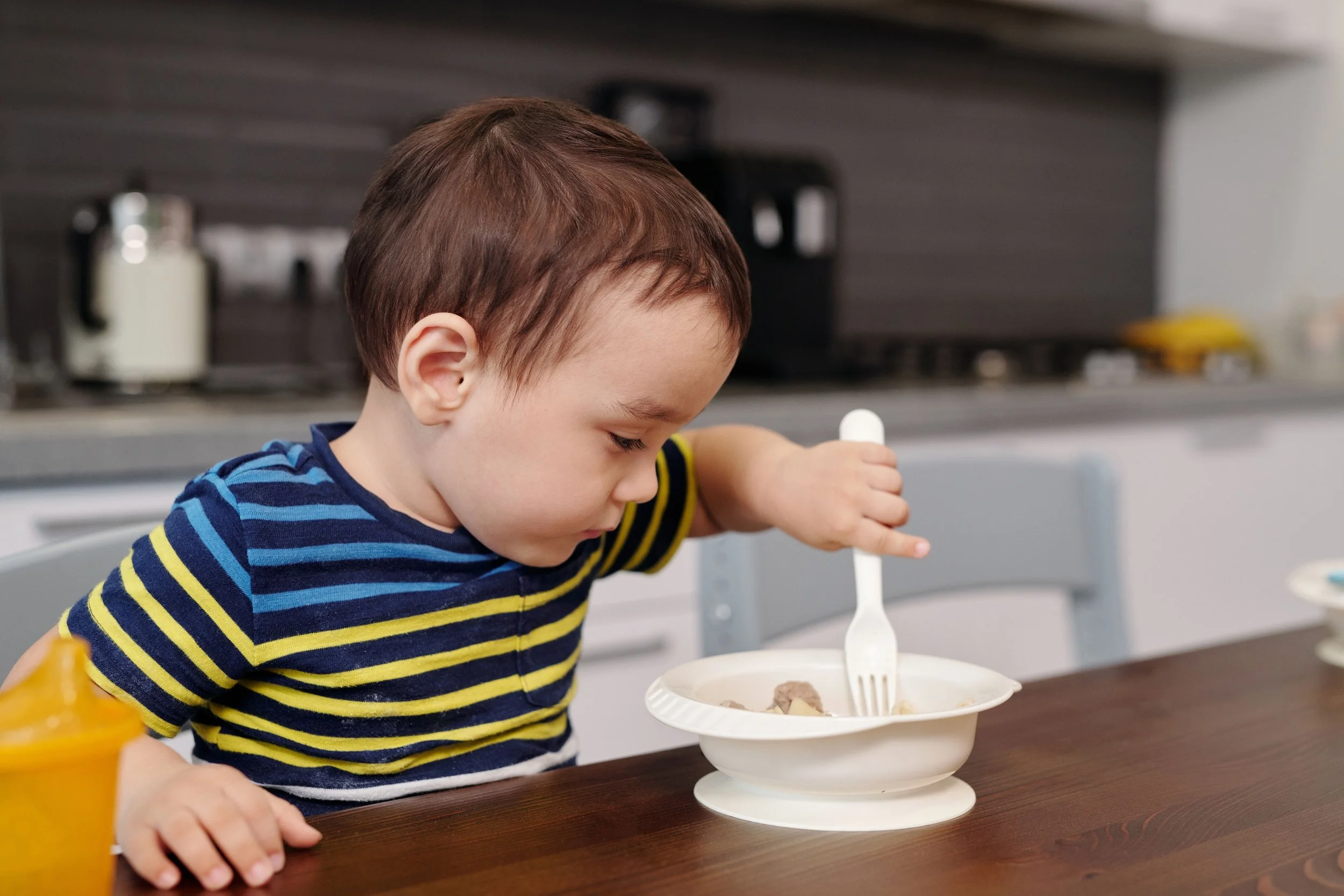 Understanding Feeding Difficulties in Children: A Gentle, Sensory Approach