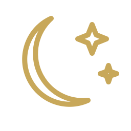Nightlife and private event transportation icon