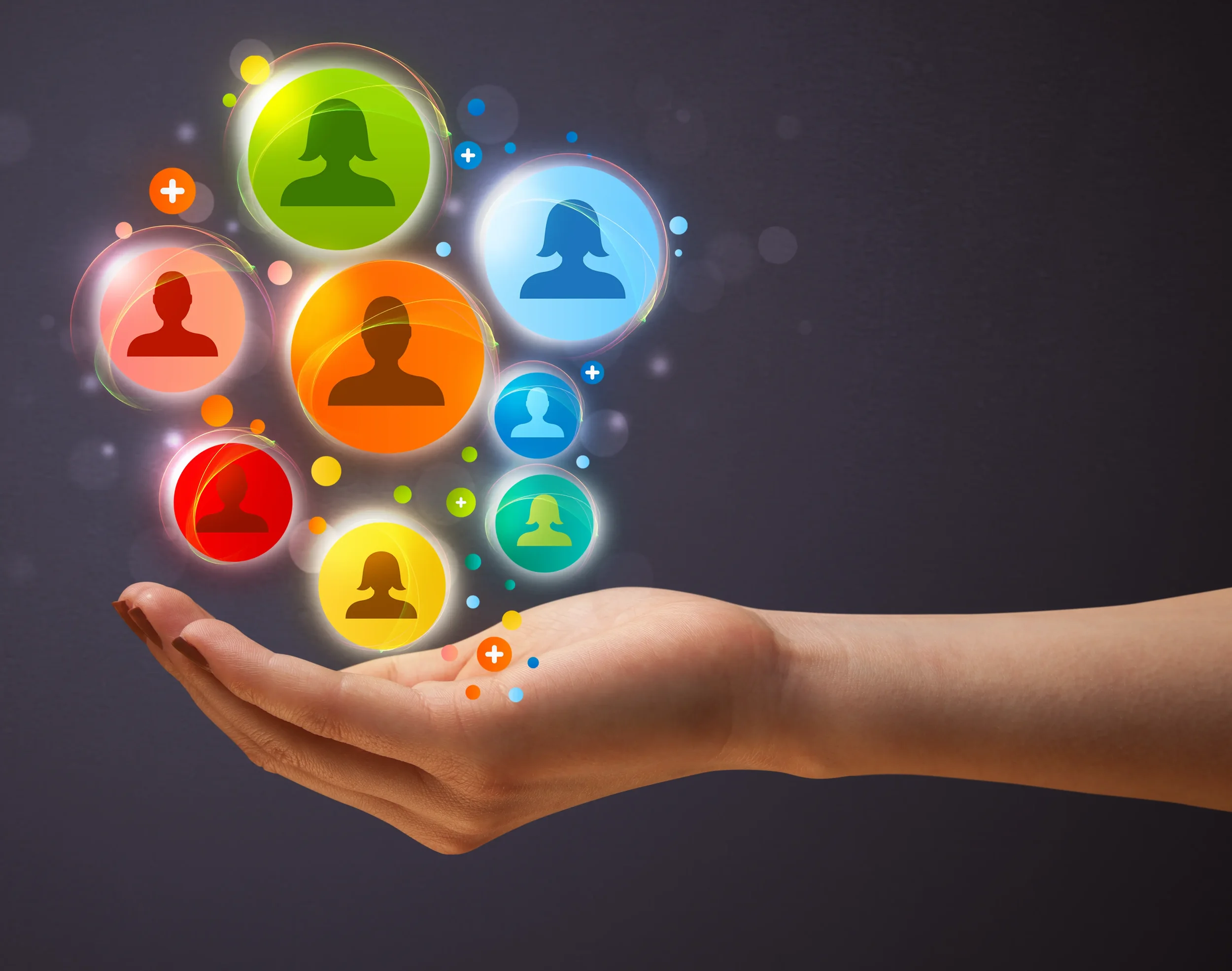 seo & marketing