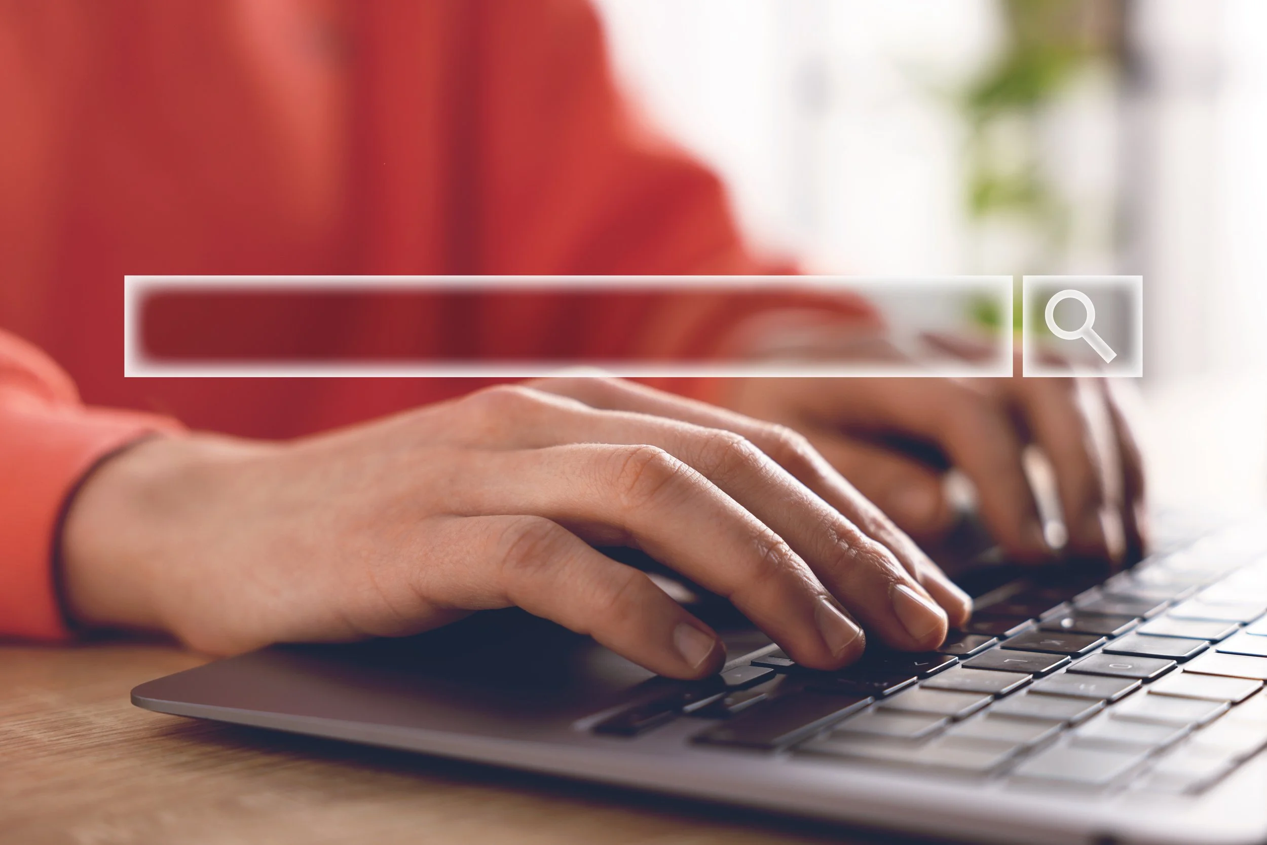 search-bar-and-woman-using-laptop-at-table-closeu-2026-08-05-20-57-44-utc.jpg