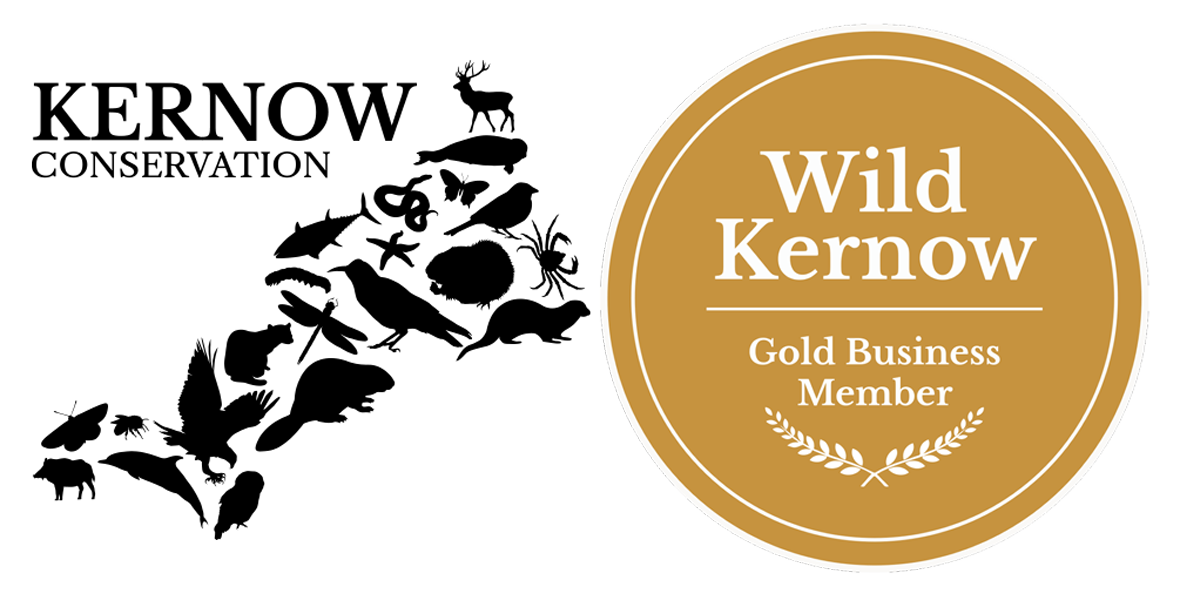 Gold circular badge with white text reading 'Wild Kernow' and 'Gold Business Member' with decorative leaves at the bottom.