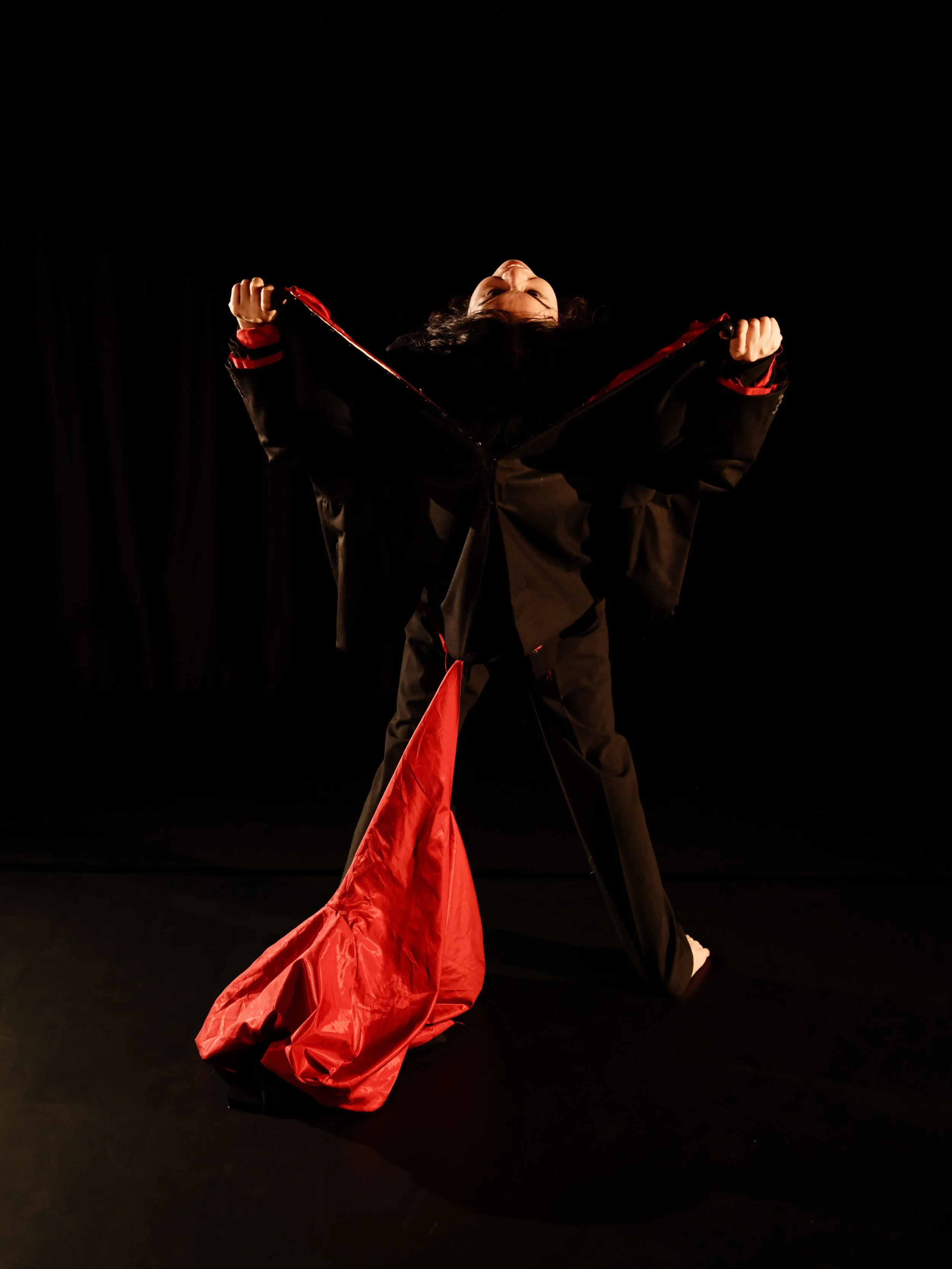 A costume designed for the character the prince, from the opera Rusalka by A.Dvorak. The costume is a suit lined in red that comes apart layer by layer.