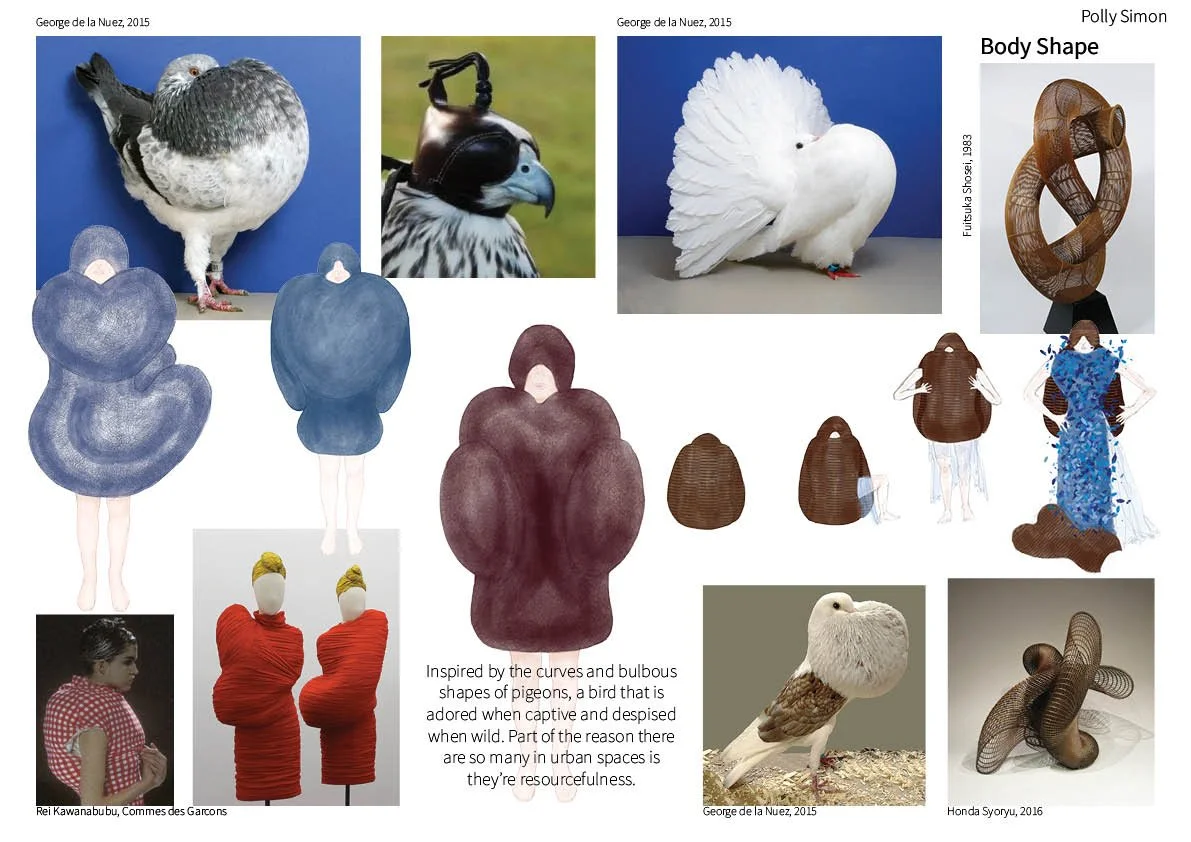 pigeon1.jpg