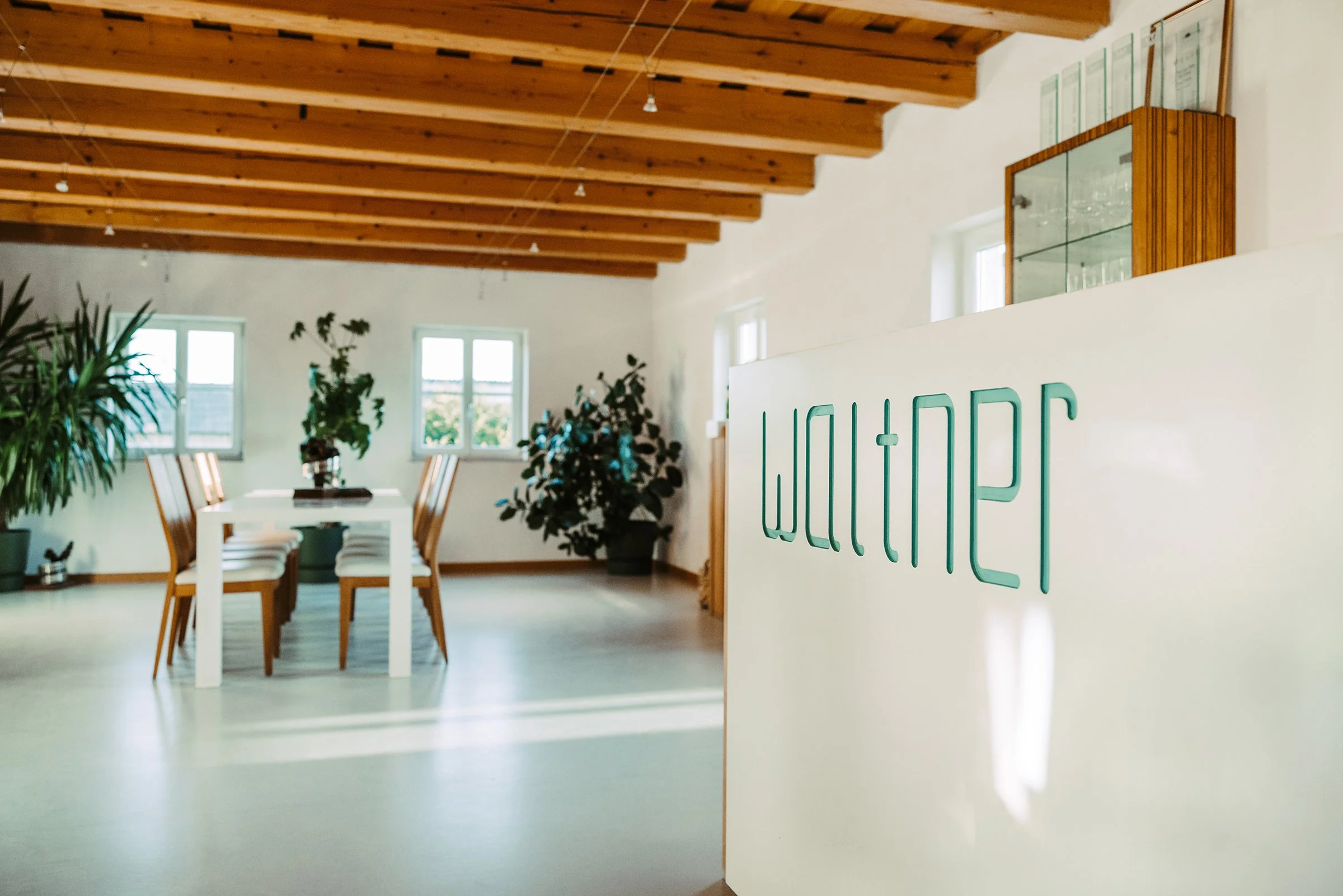 Moderner Verkostungsraum vom Weingut Waltner mit Holzbalkendecke, weißen Wänden, grünen Pflanzen und einer großen Theke rechts mit Logo.