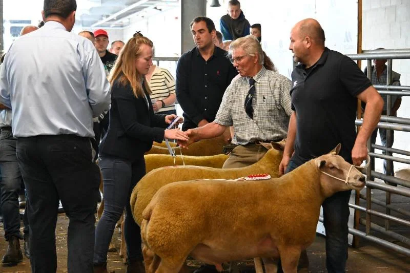 A young woman shakes hands with an older man at a livestock auction or show, with several other men and cattle present.
