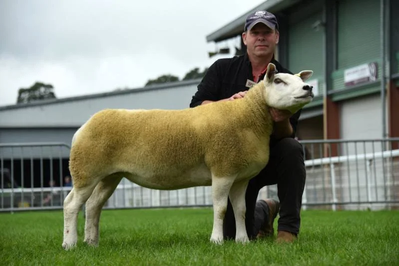 Person kneeling on grass holding a sheep with a dog's face.