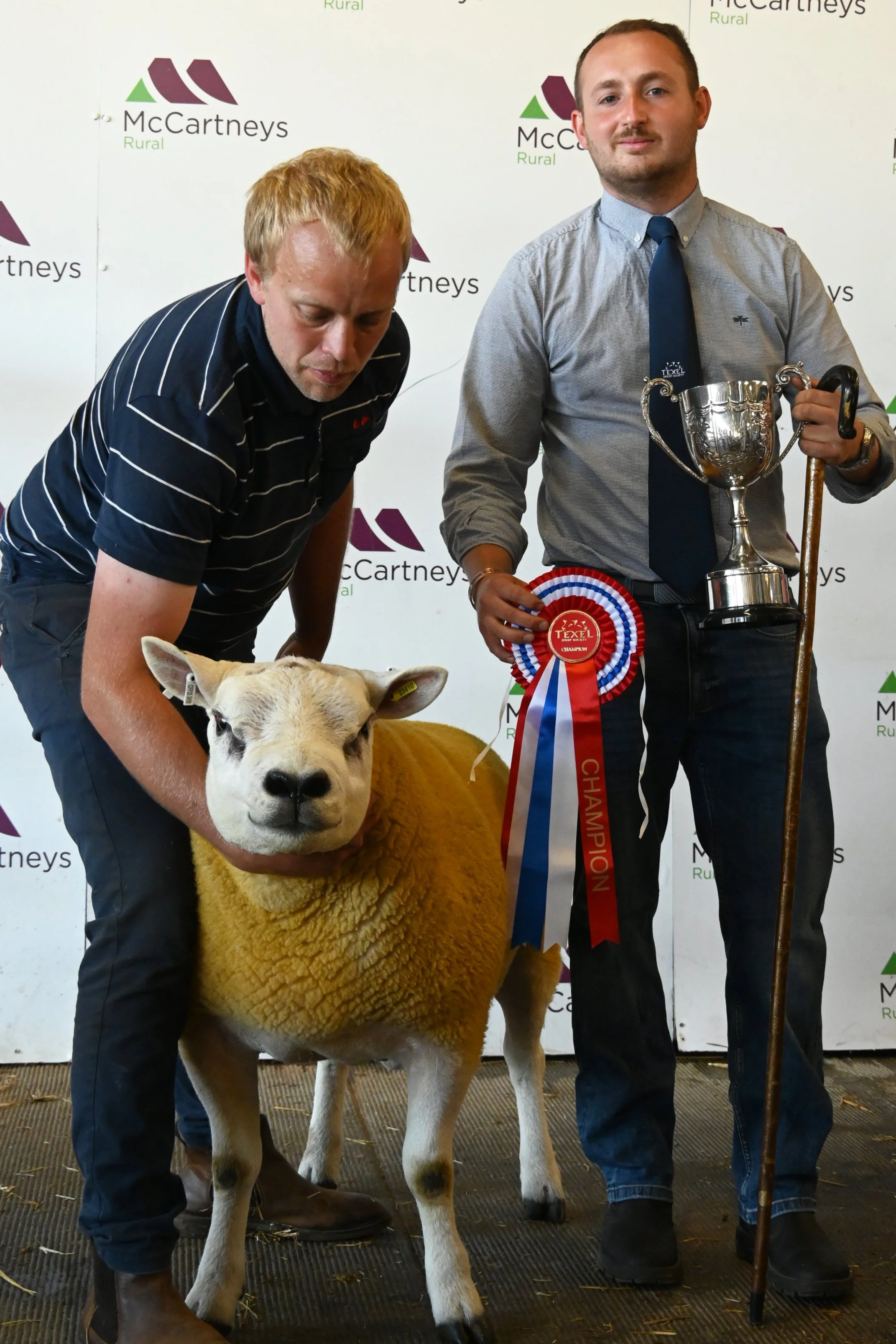 Lot+31+Champion+Texel+with+Judge+Mr+C+Davies+sold+for+1%2C300gns+from+Frank+Chave+%26+Son+Peacehay.png