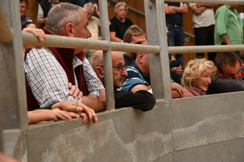 Group of people watching an event from behind a metal barrier at an indoor event.
