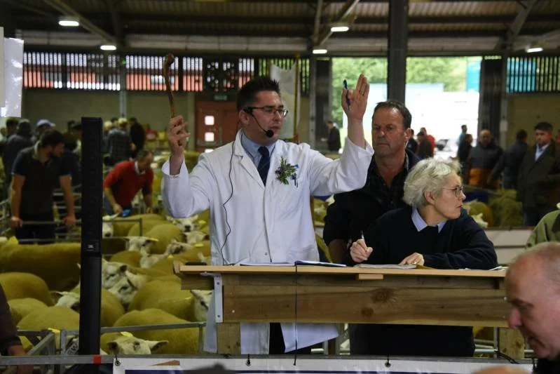 Auctioneer in white coat and glasses raising hand with gavel in a livestock auction. Woman with glasses taking notes nearby, and canvas sheep in background.