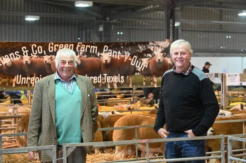 Two men standing in front of cattle at an agricultural event with a banner reading "Green Farm, Pant-y-Dour" and images of cattle in the background.