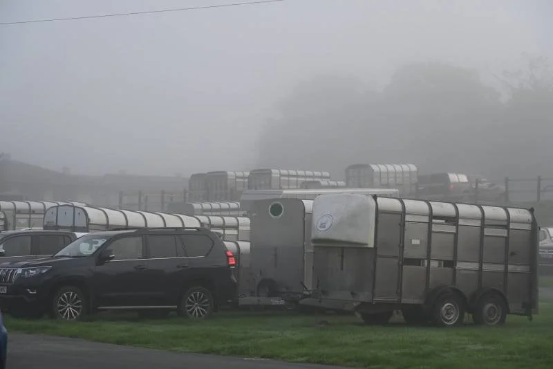 A black SUV parked beside a large horse trailer on a foggy day, with multiple trailers visible in the background.