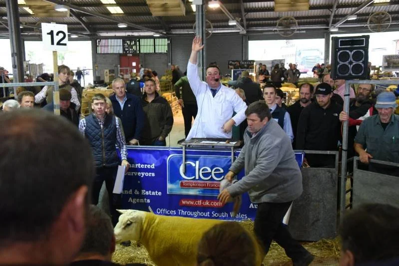 Auction at a farm auction house with a crowd gathered around a man holding a yellow sheep, a man in a gray hoodie preparing to auction the sheep, and an auctioneer wearing a white shirt with his hand raised.