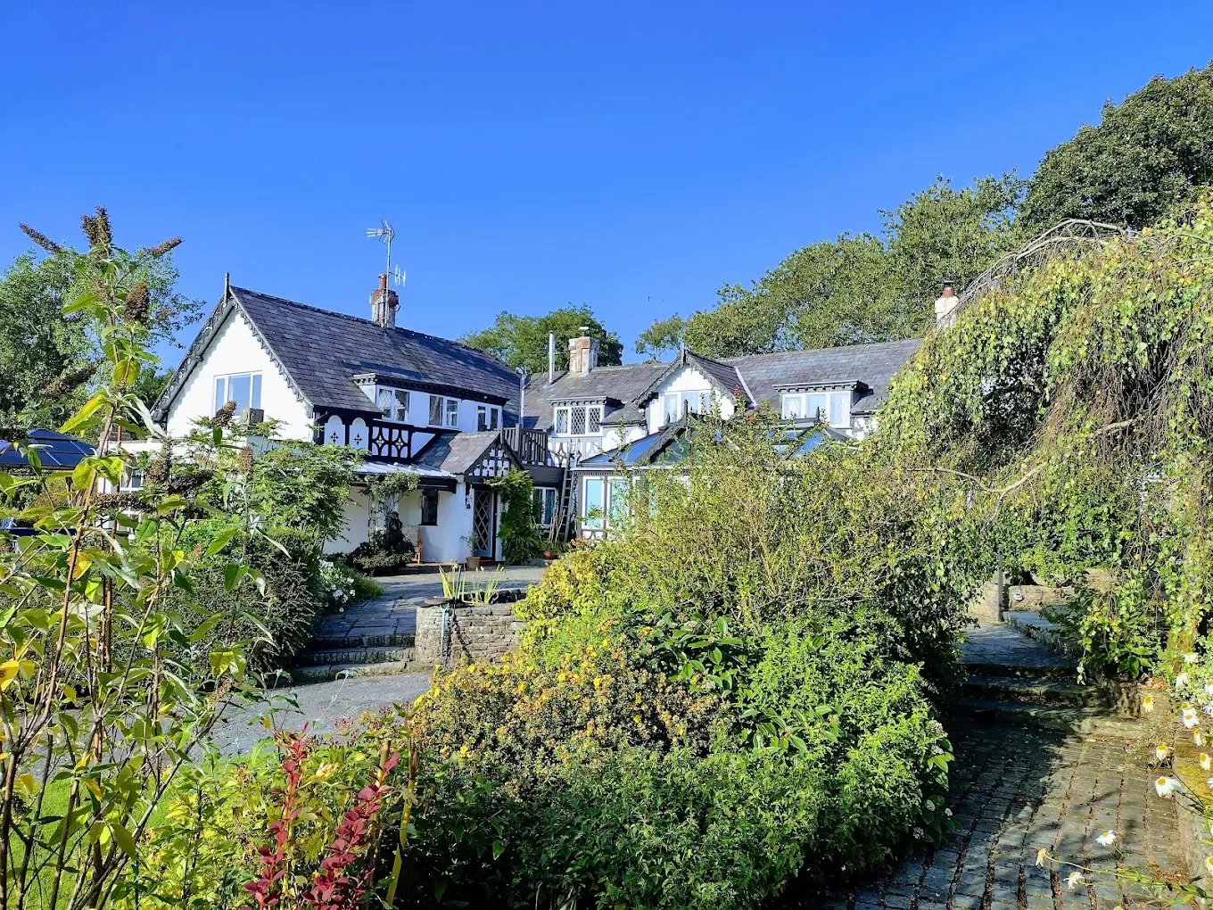 White houses with dark shingles rooftops surrounded by green bushes and trees under a clear blue sky.