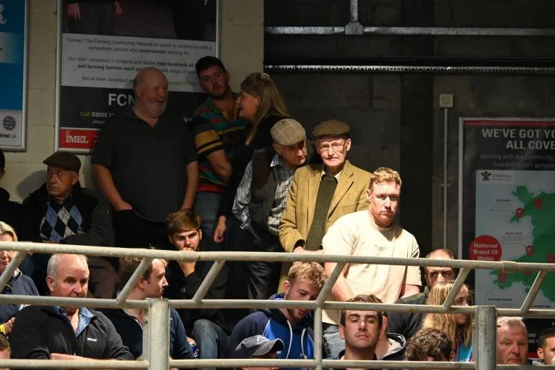 A group of people sitting and standing in a stadium or theater, with some engaging in conversation and others observing.