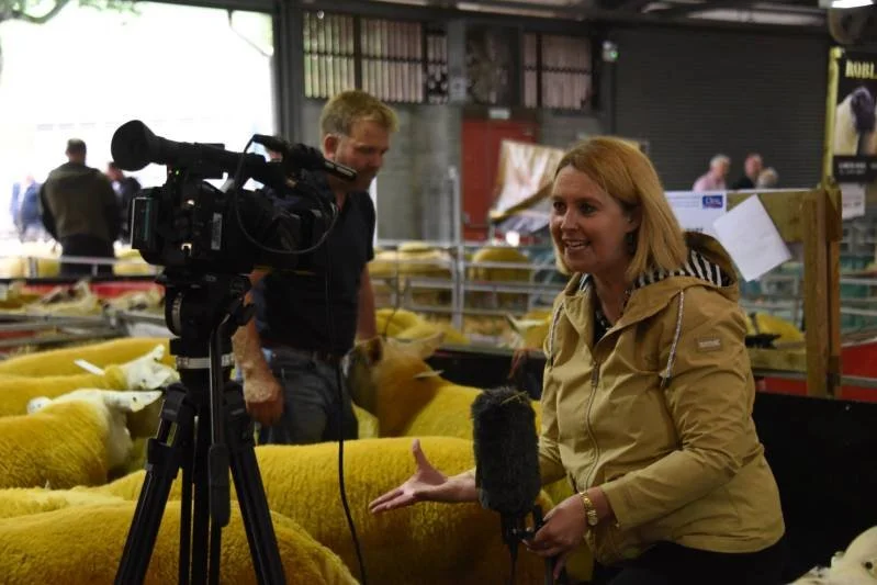 A woman being interviewed at an indoor livestock show, surrounded by yellow sheep, with a camera on a tripod and a man in the background.