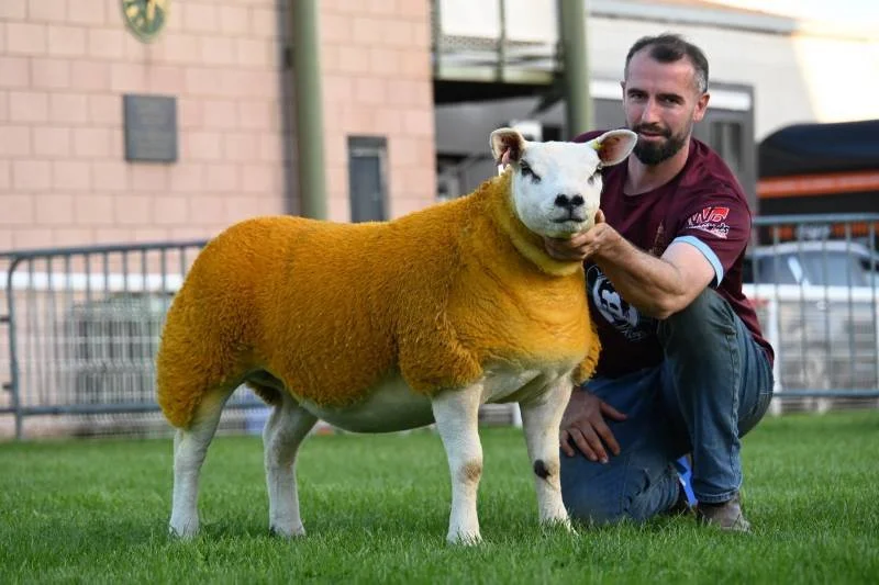 A man kneeling on grass, holding the face of a sheep with a human face, in front of a brick building.