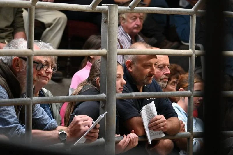Crowd of people seated behind steel bars, watching an event. Some are holding notebooks or papers.