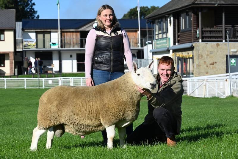 A woman and a man with a sheep on a grassy field at a farm or fairground.