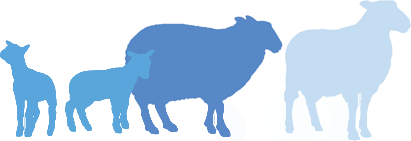 Silhouettes of various animals including a horse and a cow in shades of blue.