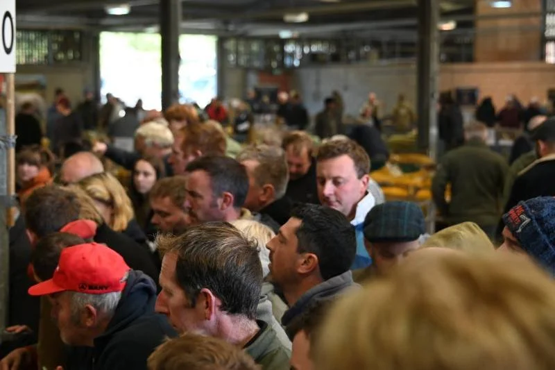Crowded indoor event with many people seated at yellow tables, some standing in the background, in a spacious, industrial-style building.