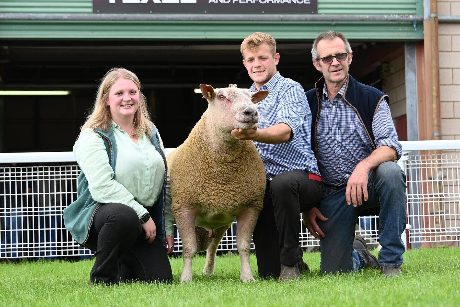 Lot 3170 Top Pice Charollais 8,000gns from PJ Layton & Co, Lyonshall, Hereford. (2).JPG