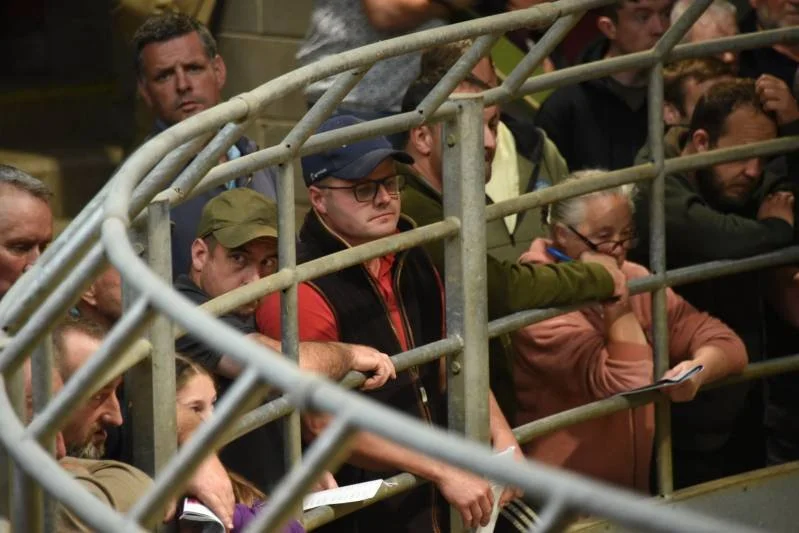 Several people standing behind a metal railing at an event, some are looking intently and others are using their phones.