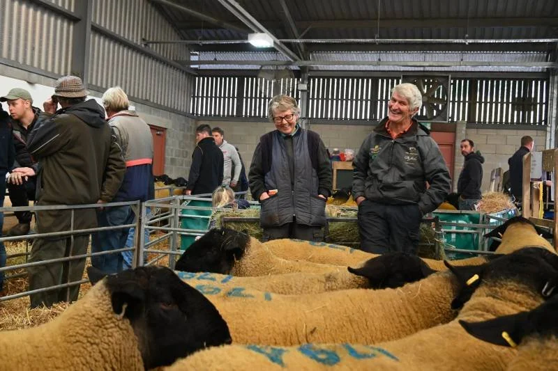 People at an indoor livestock show observing sheep, with two women smiling at the sheep in the foreground.