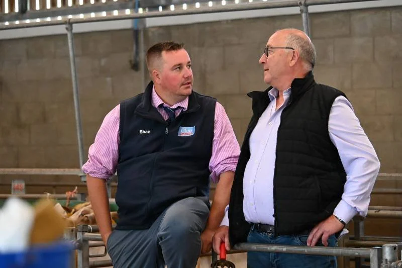 Two men in conversation at an indoor farm or livestock facility, with one sitting and the other standing, both wearing vests.