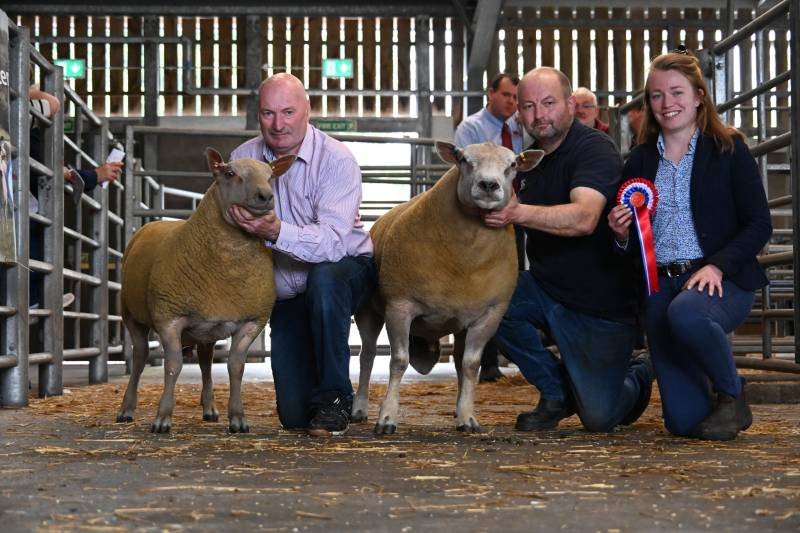 Three people kneeling in a livestock pen with two sheep, one on each side, holding the sheep's heads. The woman on the right is holding a prize ribbon. The setting appears to be at a livestock show or fair.