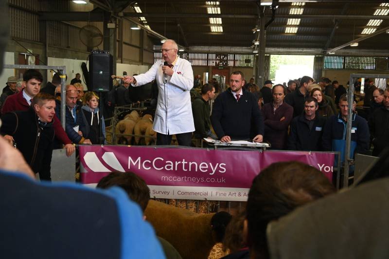 A man in a white coat speaks into a microphone at a livestock auction with several people watching, inside a barn with animals in the background.