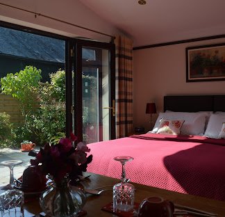 A hotel room with a large bed covered in a pink blanket, pillows, a bedside lamp, a framed picture on the wall, and a sliding door opening to a garden with greenery outside.