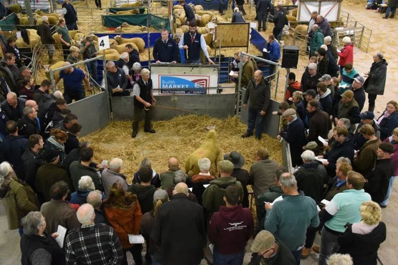 A large crowd gathered around a livestock auction ring, observing a goat that is for sale, with some people taking notes or pictures.