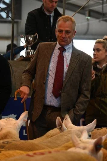 Man in a brown plaid suit and red tie inspecting a group of sheep at an indoor livestock event.