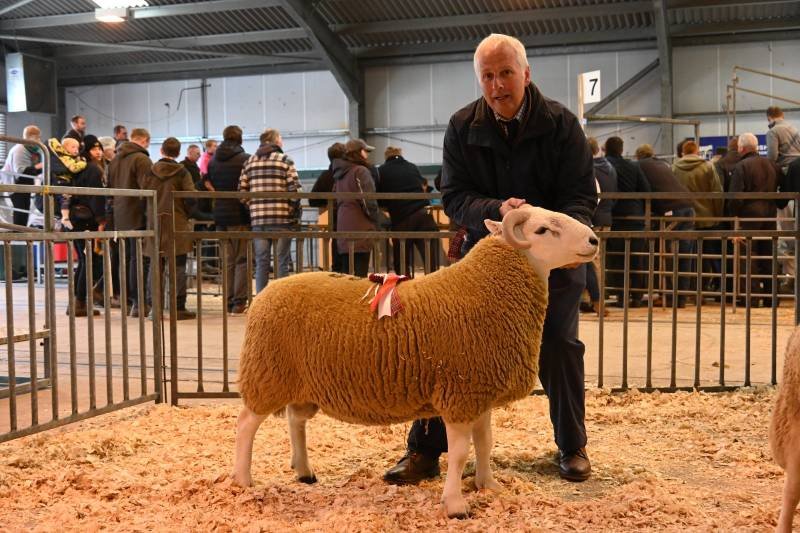 Man kneeling next to a sheep with a red ribbon in an indoor livestock show with a crowd of people in the background.