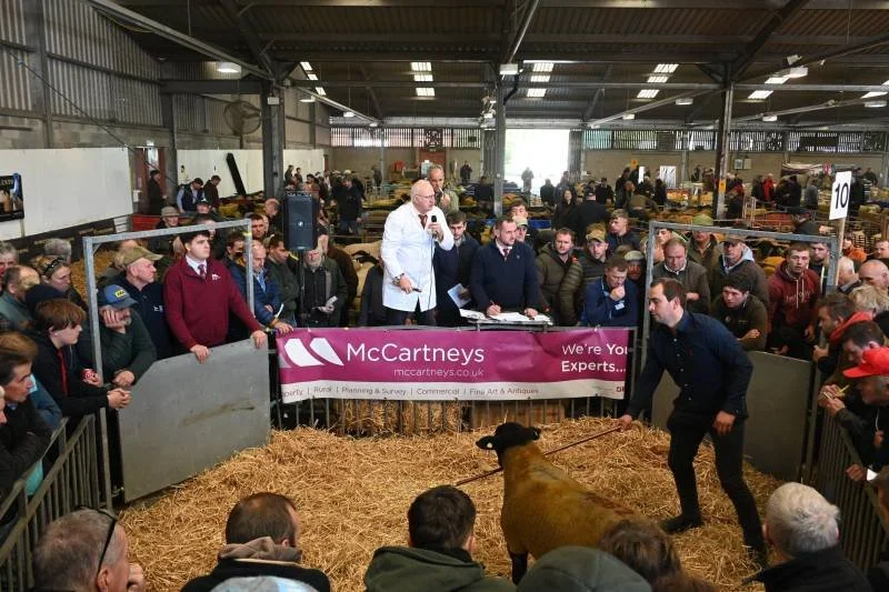 Auction at a livestock fair with a large crowd gathered around a pen containing a sheep. An auctioneer stands on a platform, and a man is holding a sheep by a leash. There are banners, including one for McCartneys, and people are observing and biddin