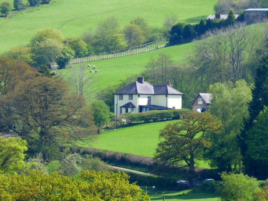 A house surrounded by green trees and grass in a hilly rural area, with sheep grazing on the hillside in the background.