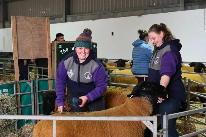 Two young women smiling and petting sheep at an indoor farm or petting zoo, with other people and sheep in the background.