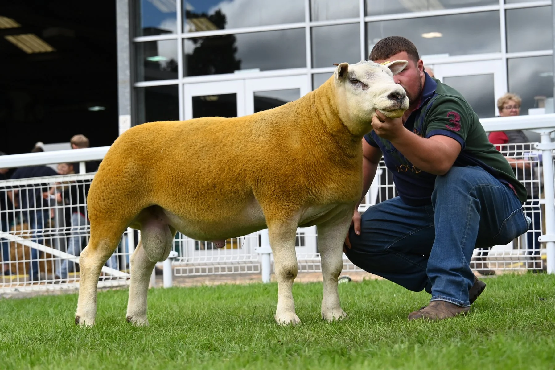DSC_8442.JPG