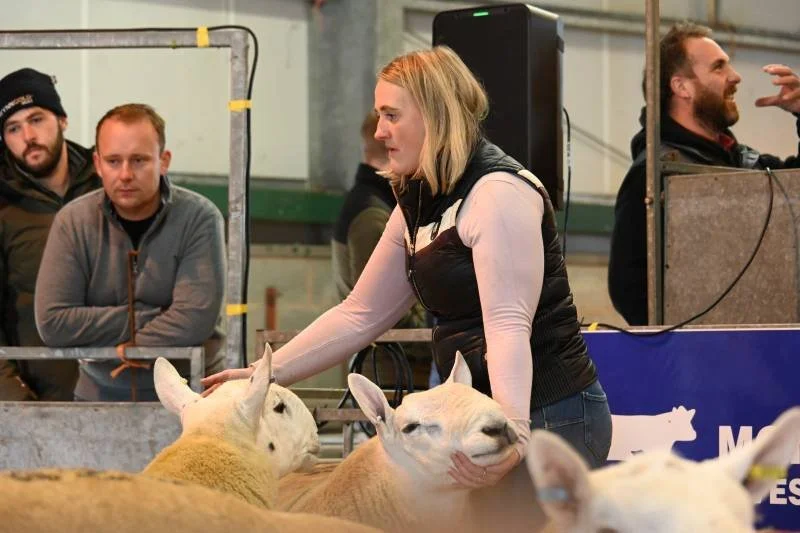 Woman showing sheep at an indoor livestock event, with men observing in the background.