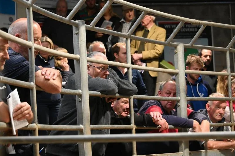 Group of people seated behind metal fencing, some leaning on it, watching an event in a crowded indoor venue.