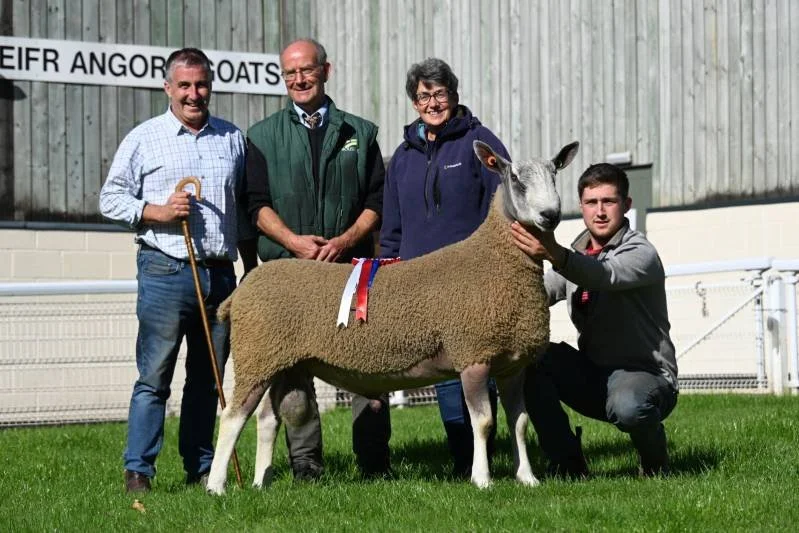 Group of four people and a sheep with ribbons, standing outdoors on a green field in front of a barn, for a farm or livestock event.