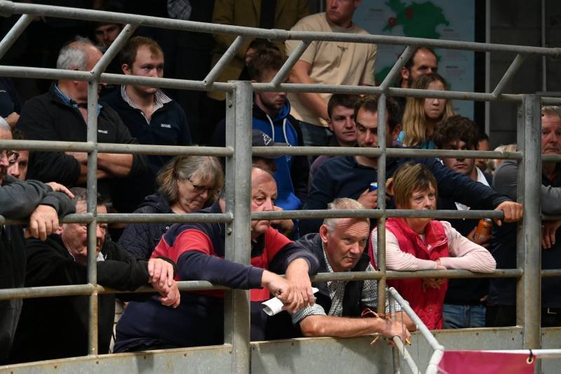 Group of people sitting and standing behind a metal fence at an event, watching intently.