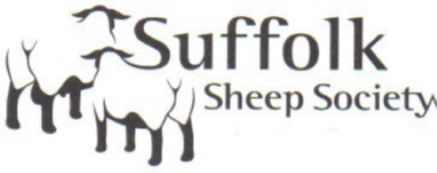 Suffolk improvements at the NSA Wales &amp; Border Main Sale